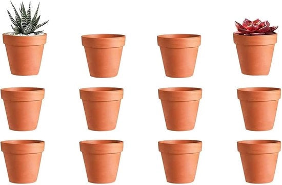 Set di 10 Mini Piantine in Terracotta con Fusto di Scarico - Vaso di Piante Riciclabile - Decorazione Interna e Esterna - Modello: 4.5 x 4 cm - Set da 10 pezzi
