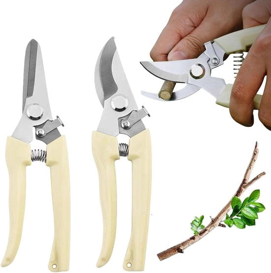 Serra per giardino precisa 2 pezzi per piante - Serra per fiori in acciaio inox con lama bypass