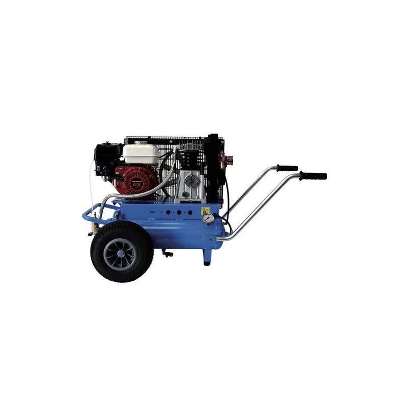 Motocompressore Carrellato per Scuotitori per raccolta olive