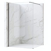 Parete Doccia Rea Flexi Transparent / Titan 110