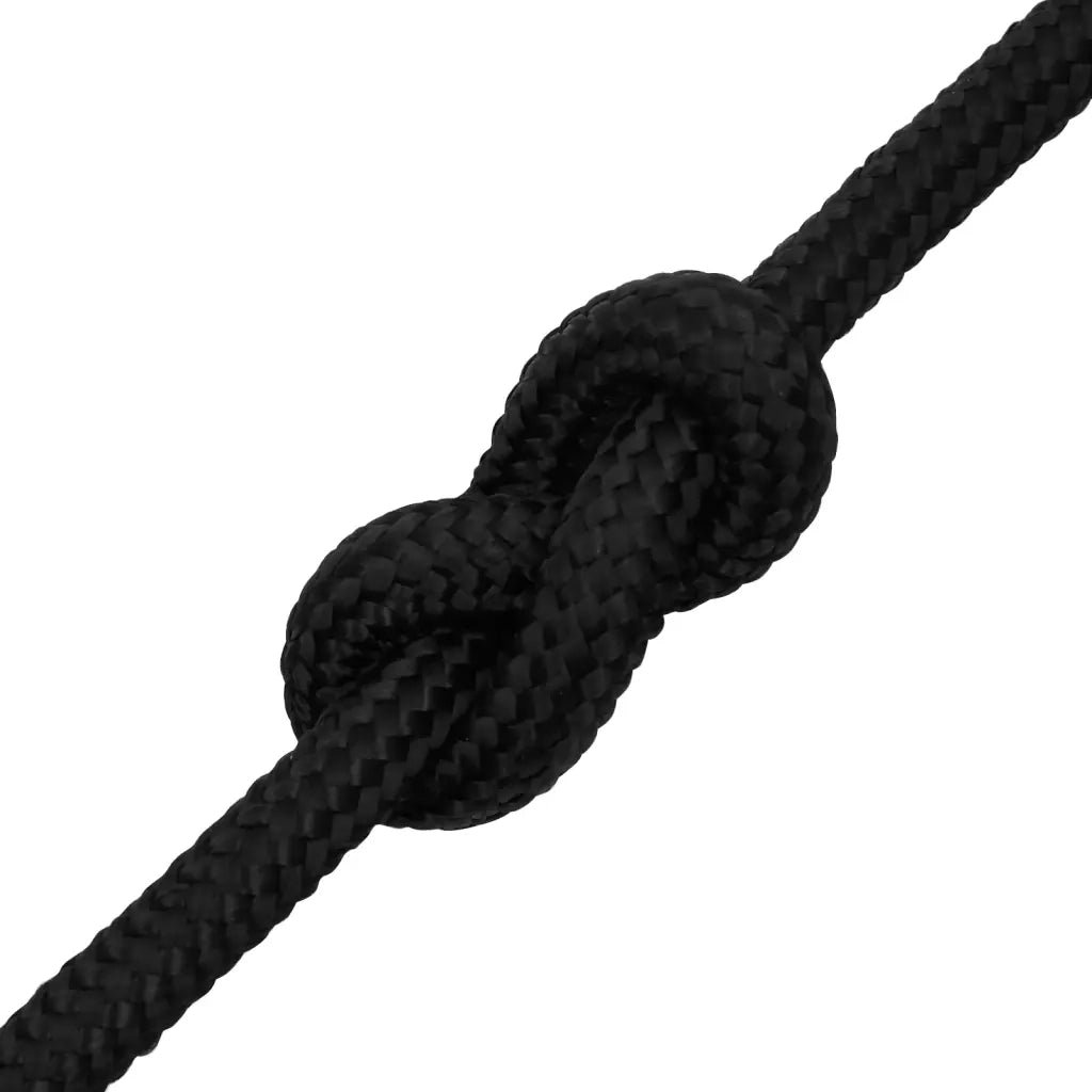 Corda per barca Completamente Nera 18 mm 25 m in Polipropilene 152523