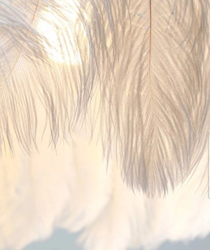 Lampada Da Soffitto Con Piume Boho App662 Gold