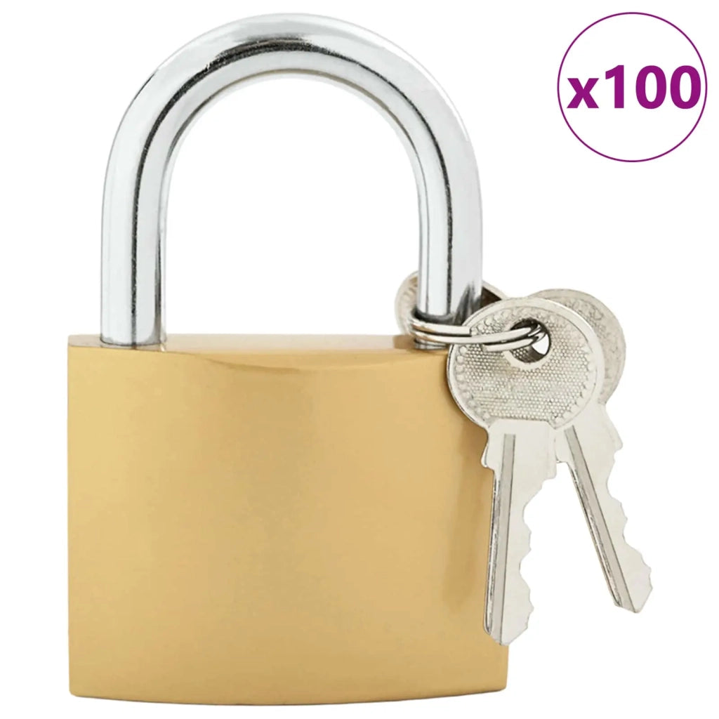 U Lock con Chiavi Ottone 7,4 x 2,1 x 10,6 cm Ferro CFW4015563