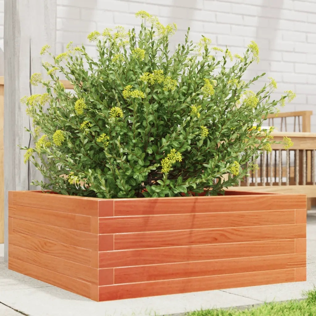 Fioriera | Cassetta per fiori | Vaso Giardino Marrone Cera 60x60x23 cm Legno Massello Pino