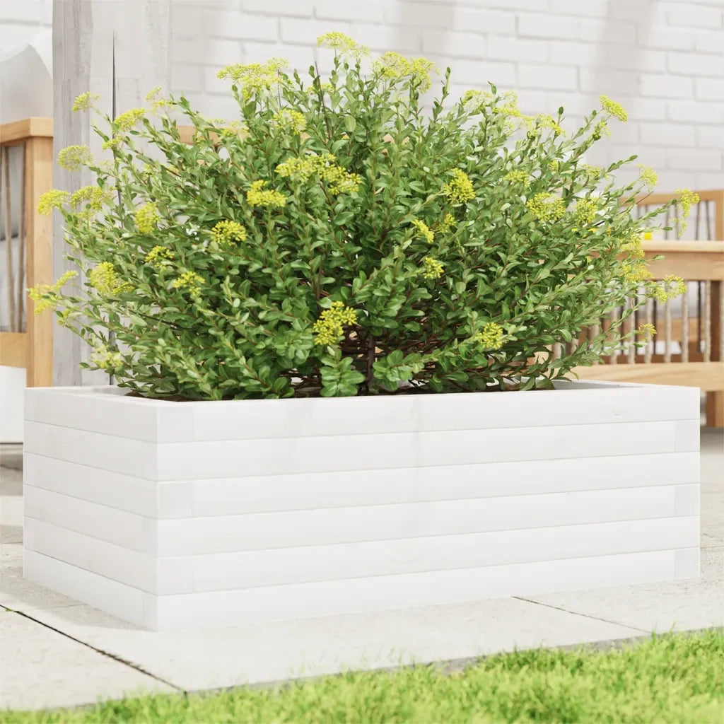 Fioriera | Cassetta per fiori | Vaso da Giardino Bianca 70x40x23 cm Legno Massello di Pino