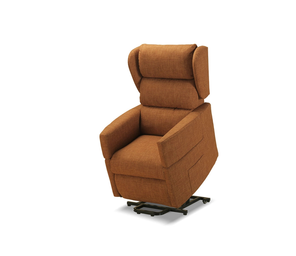 Poltrona Alzapersona 72x80-175x111 cm con Bracciolo Estraibile Dispositivo Medico 1 in Poliestere Nosteo Lenny 641