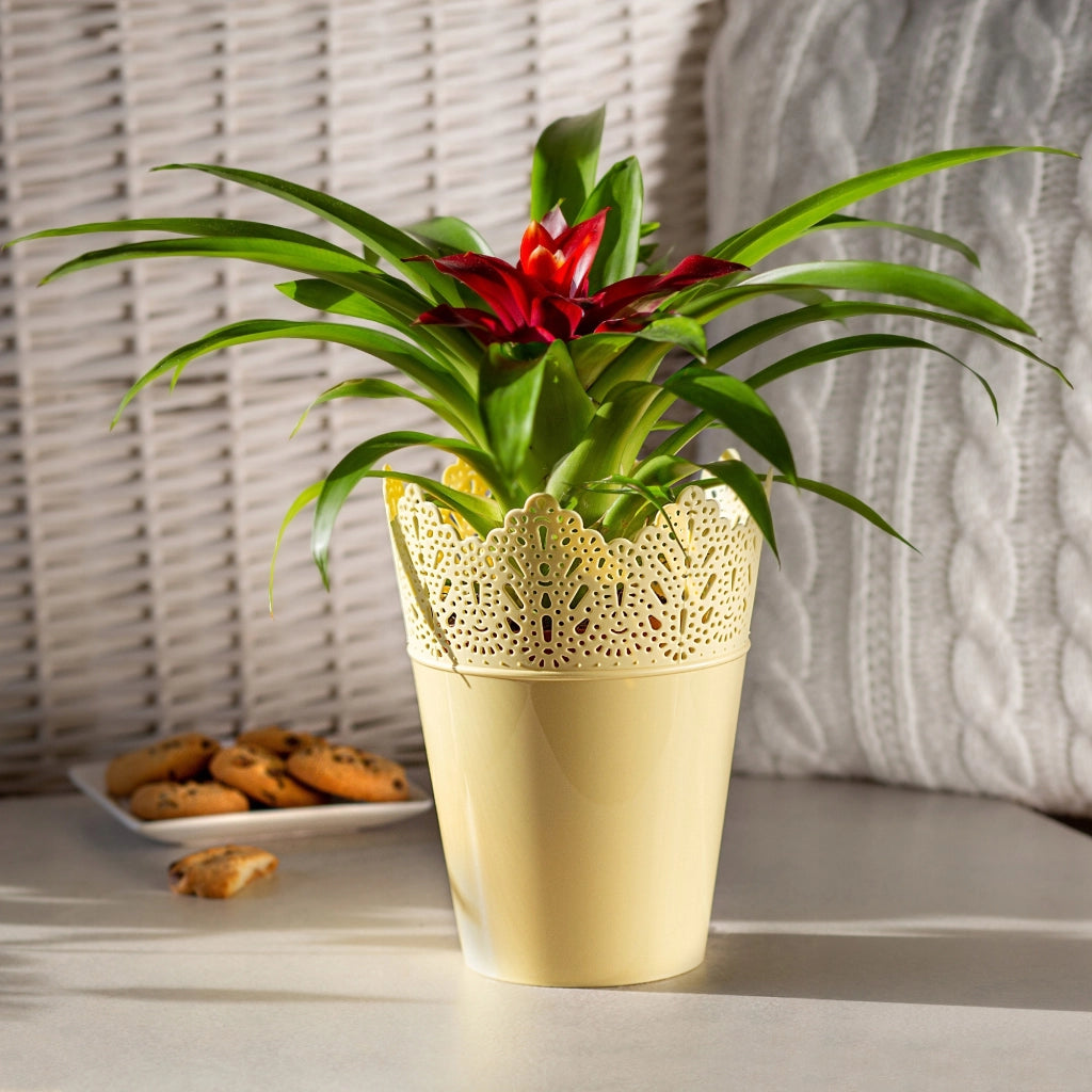 Vaso da fiori KADAX, vaso da fiori, coperchio, alto, in plastica, 16,5 cm, giallo
