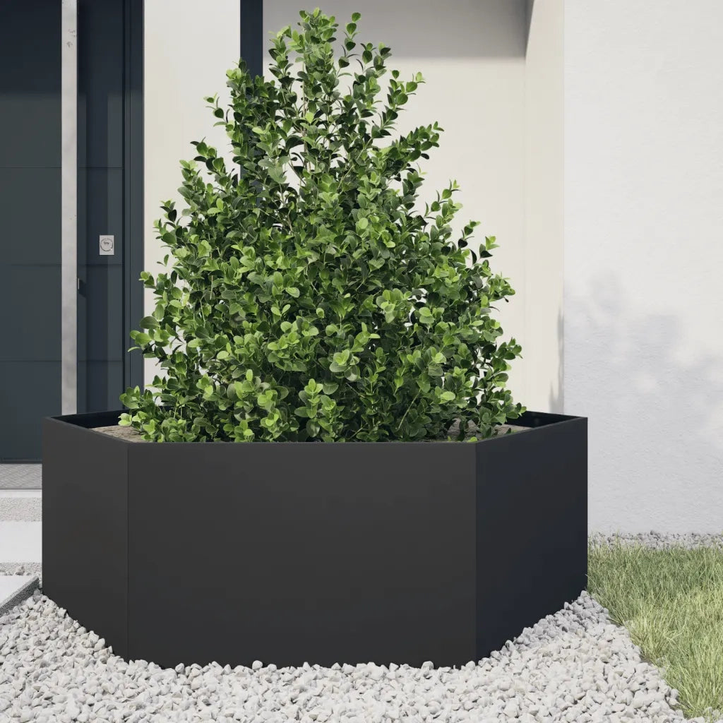 Fioriera da Giardino-Vaso da Esterno-Contenitore per Piante Nera Esagono 138x120x45 cm in Acciaio