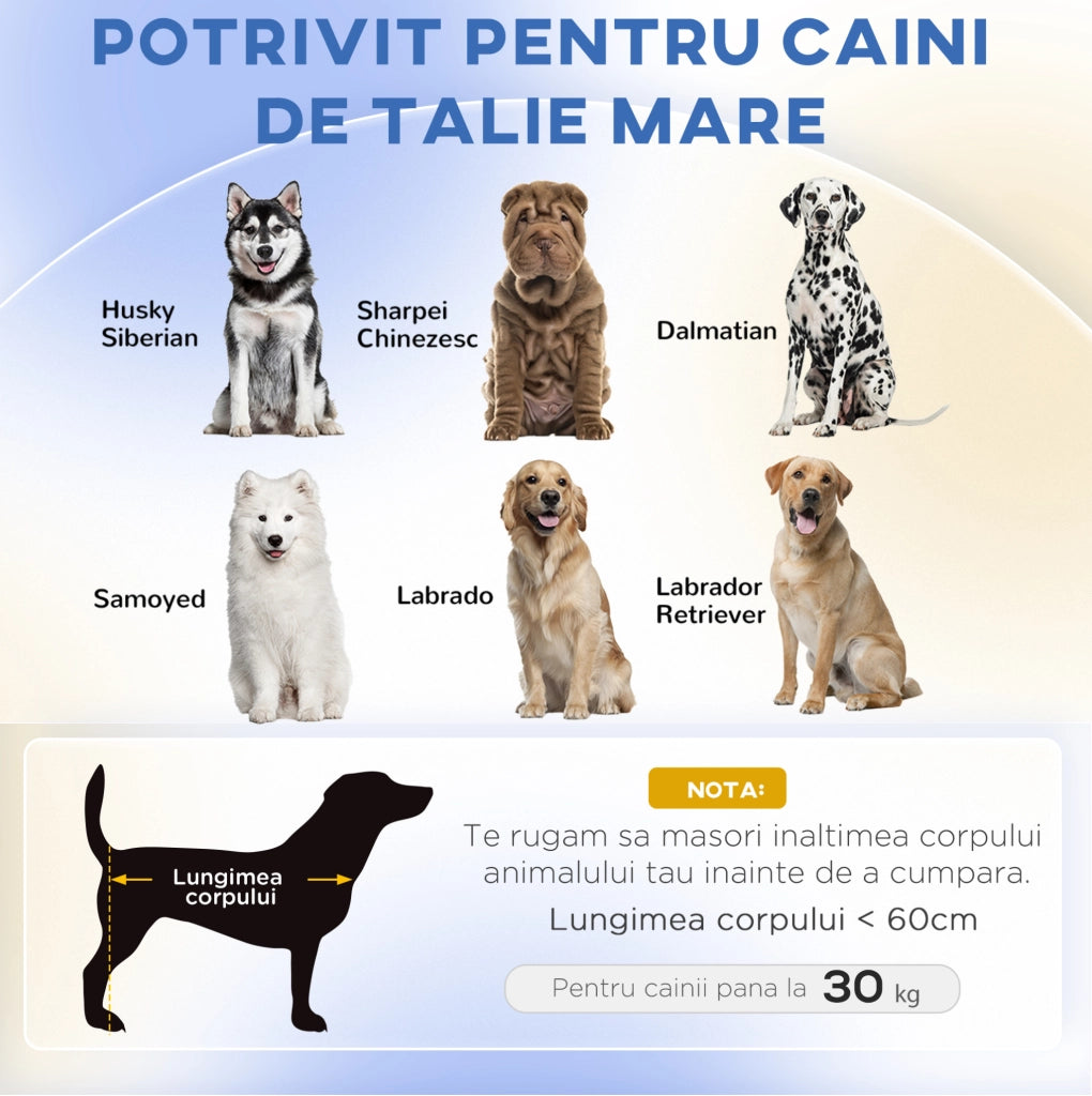Divano per cani verde con cuscino, 98x67x25 cm