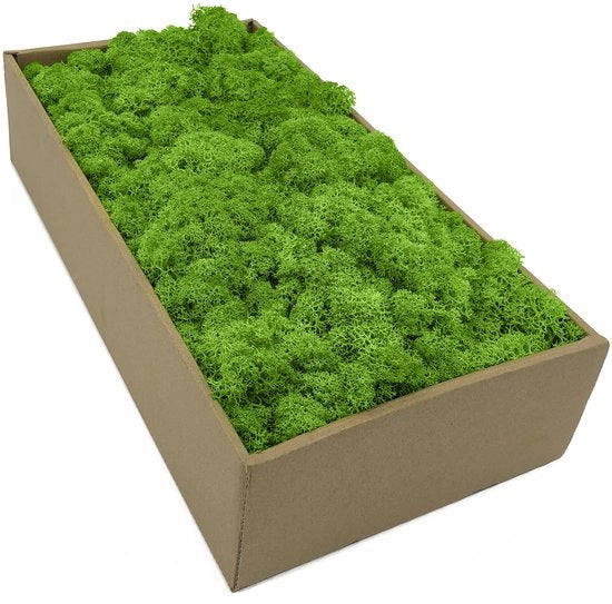 Mos naturale in 5 diverse colori 250g / 500g / 1kg conservato naturalmente per arte con licheni, decorazione e modellismo (verde chiaro erba)