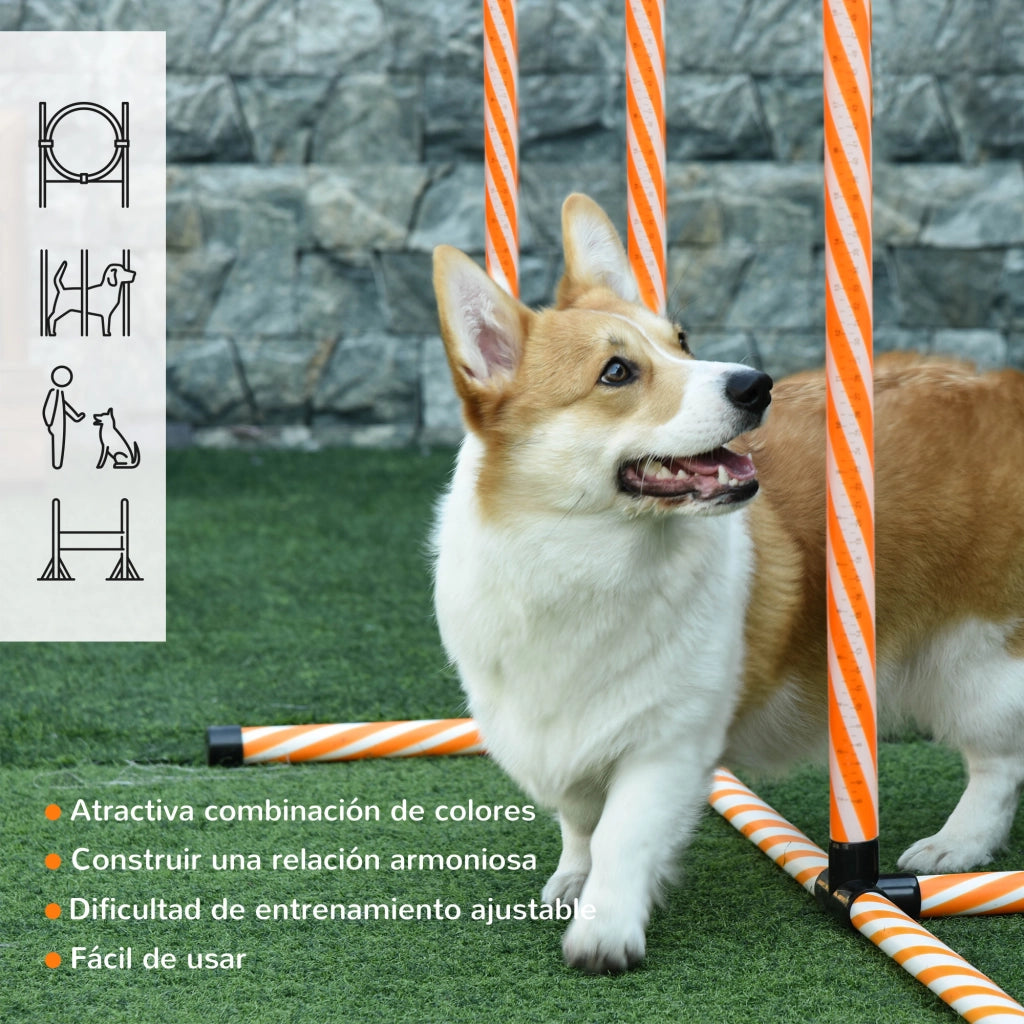 Set Agility per Addestramento Cani con Slalom Ostacoli Ajustables ¨C zephmum ¨C Grigio