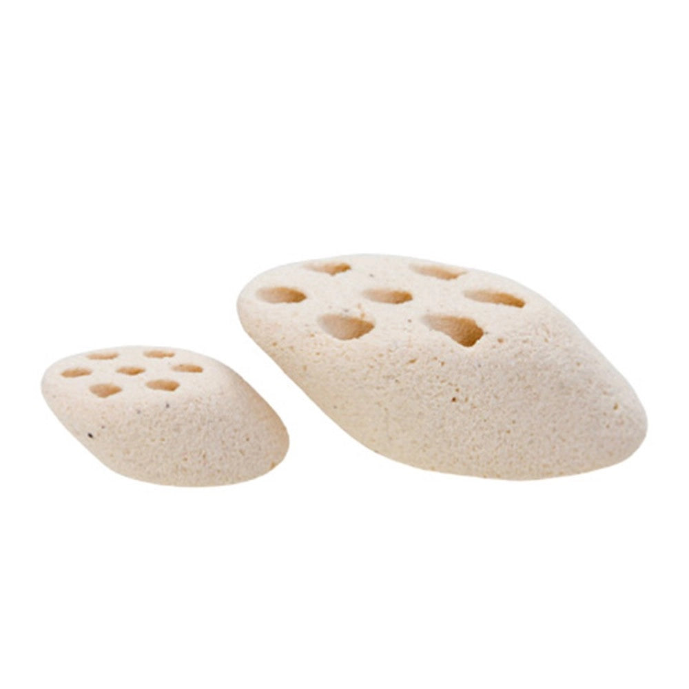 Mountain Tree Fresh Lotus Root Nitro Ring II - supporto biologico di nuova generazione per acqua dolce Formato: 1000 ml