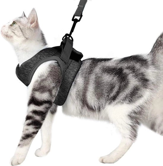 Cinturino e -corda - Cinturino antiscappo ultralight per gatti, giacca da gatto con gomma di guida, morbido e comodo per cuccioli e conigli