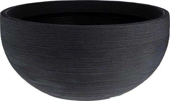 Piantina in Vaso a Rondelle