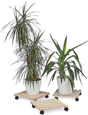 Set di 3 supporti per piante da 35 x 35 x 7,5 centimetri