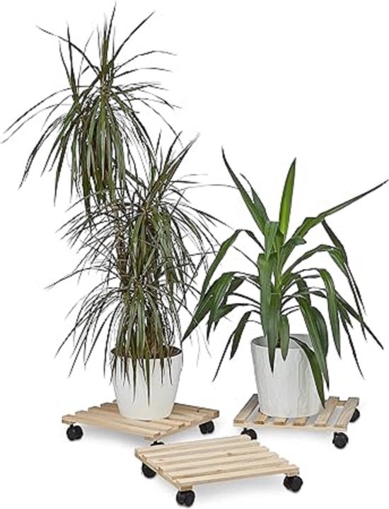 Set di 3 supporti per piante da 35 x 35 x 7,5 centimetri