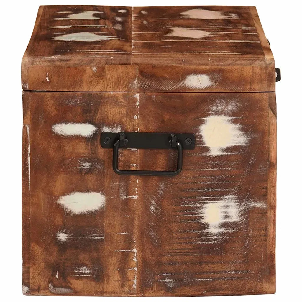 Scatola di Stoccaggio con porta Marrone Legno di mango massello 4104570