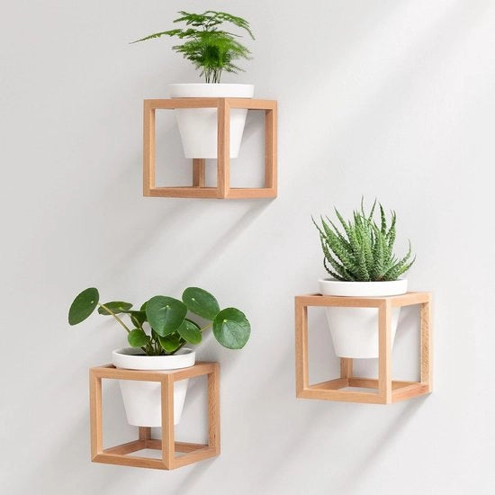 Piantine da Muro Lille - Vasi da Appendere - Set da 2 - Naturale Miele - Legno Massello e Ceramica