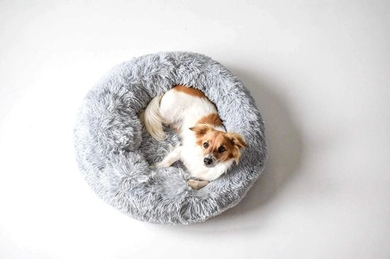 Letto per Animali 50 x 50 cm - Forma Rotonda - Materiale Polyester - Impermeabile Oxford - Adatto per Cani/Gatti - Bordo Elevato - Letto per Animali
