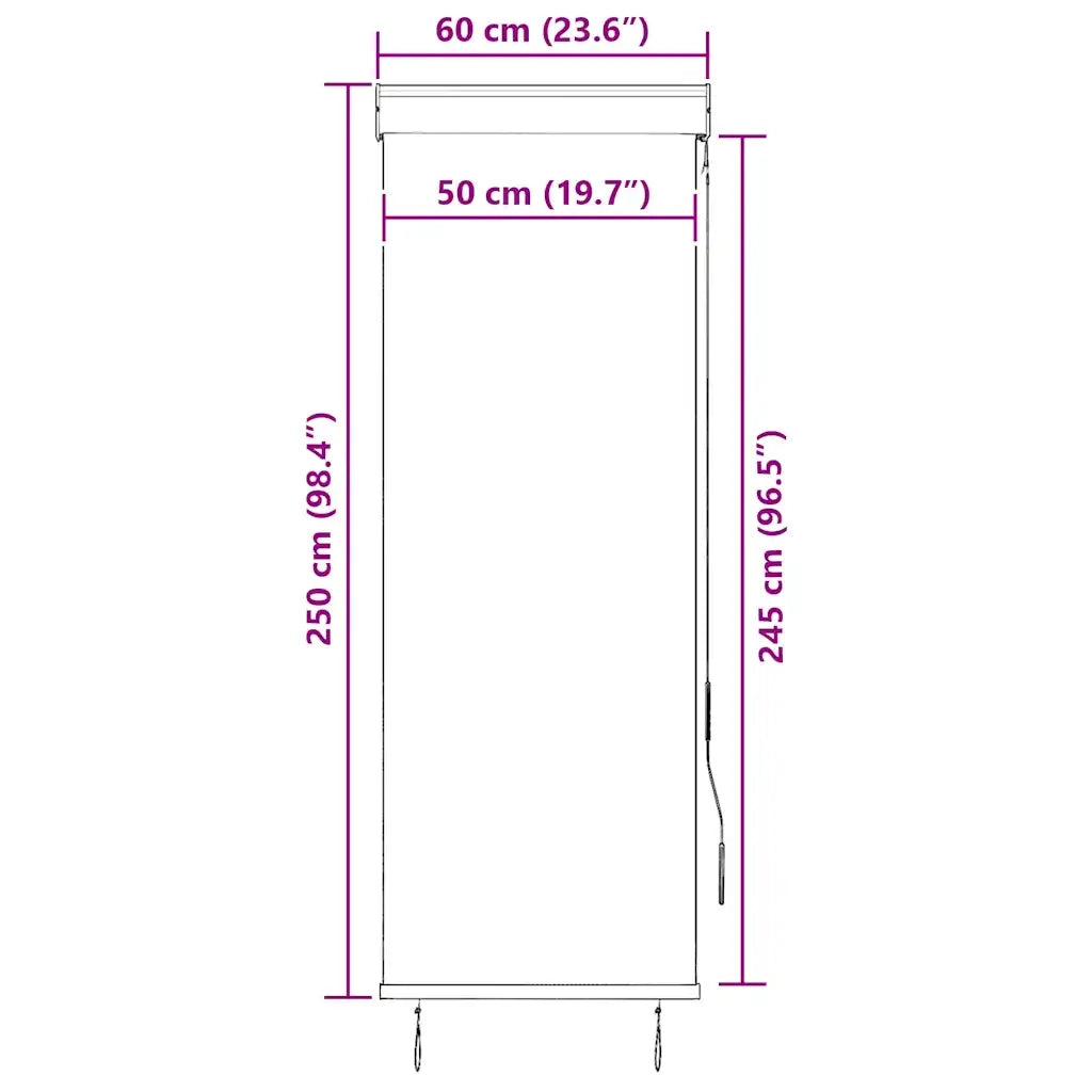 Tenda a Rullo per Esterni 60x250 cm Blu e Bianca 145943