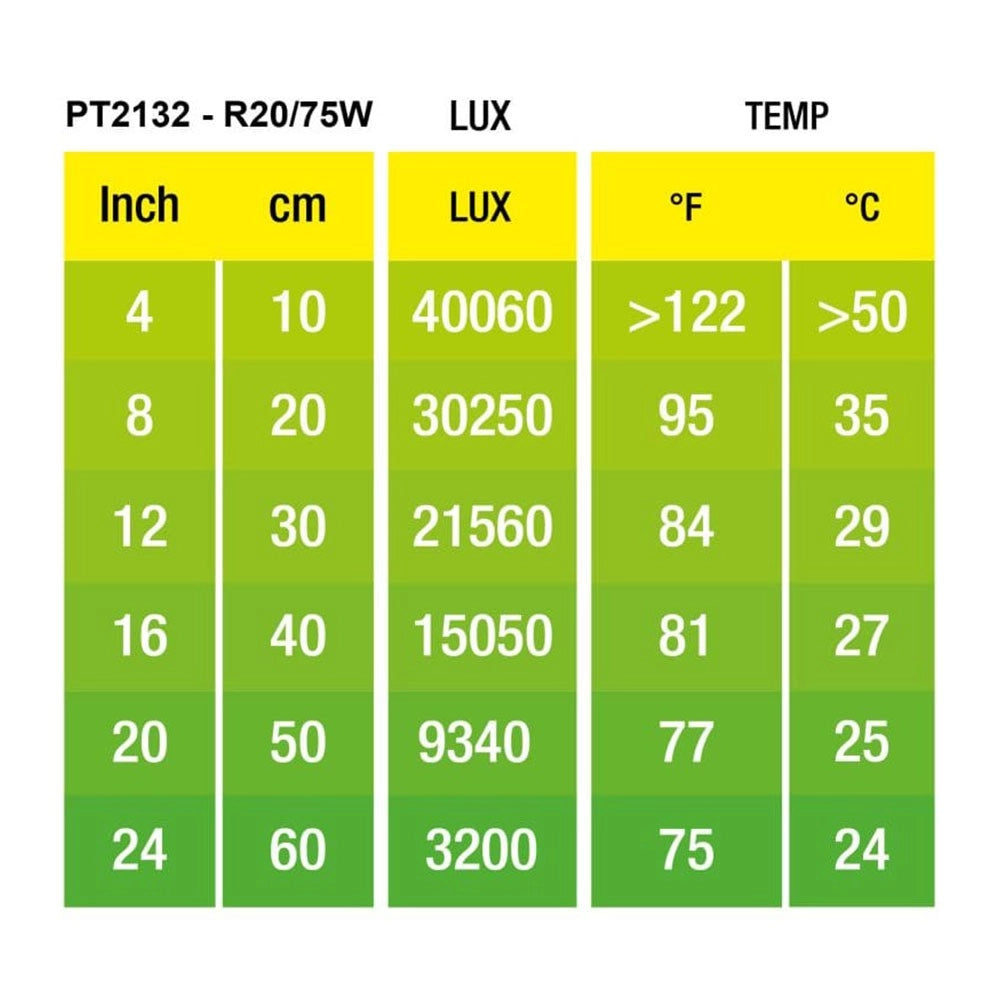 ExoTerra Daylight Basking Spot - lampada al Neodymium ad ampio spettro Wattaggio Riscaldatori e lampade terrario: 100W