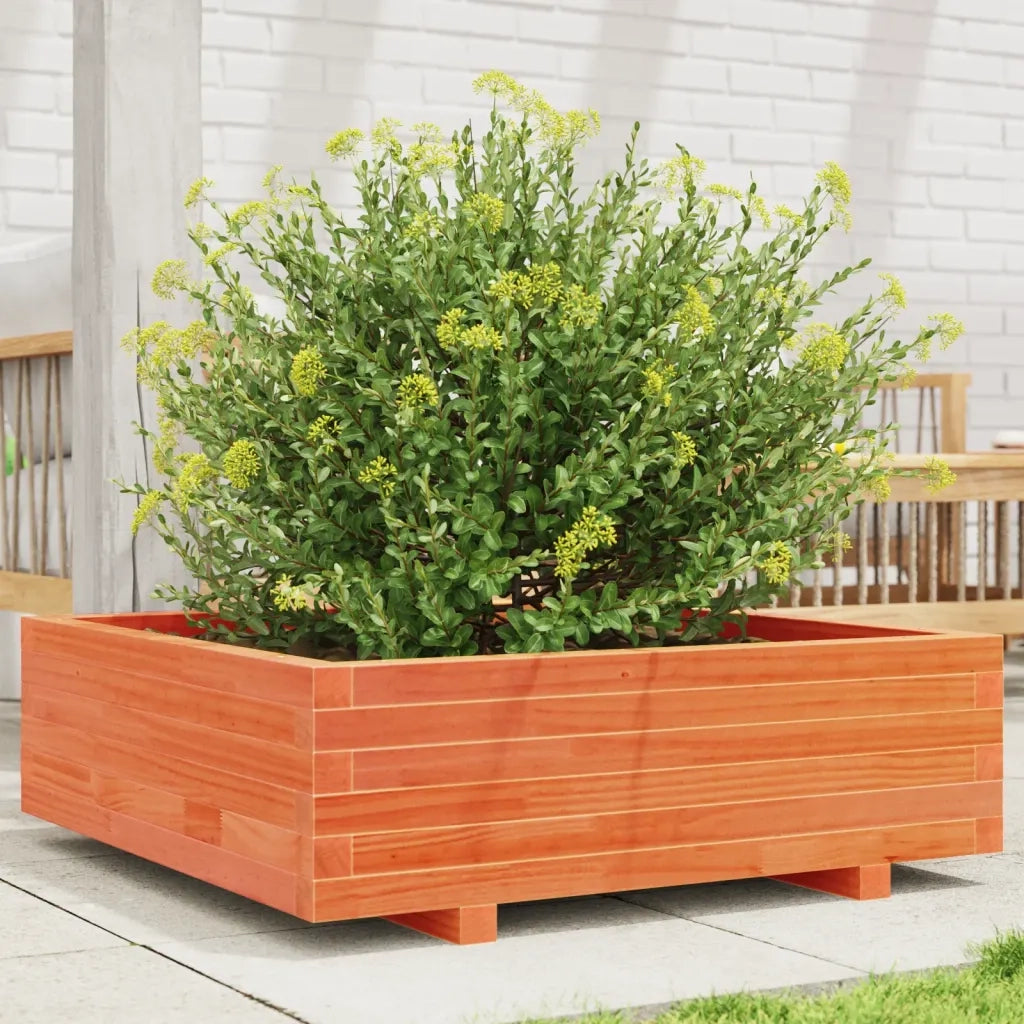 Fioriera | Cassetta per fiori | Vaso Giardino Marrone Cera 80x80x26,5cm Legno Massello Pino