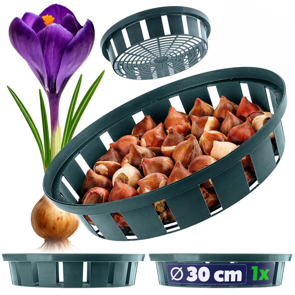 Cestino KADAX per bulbi, bulbi da fiore, tulipani, coperture per piante, 30 cm