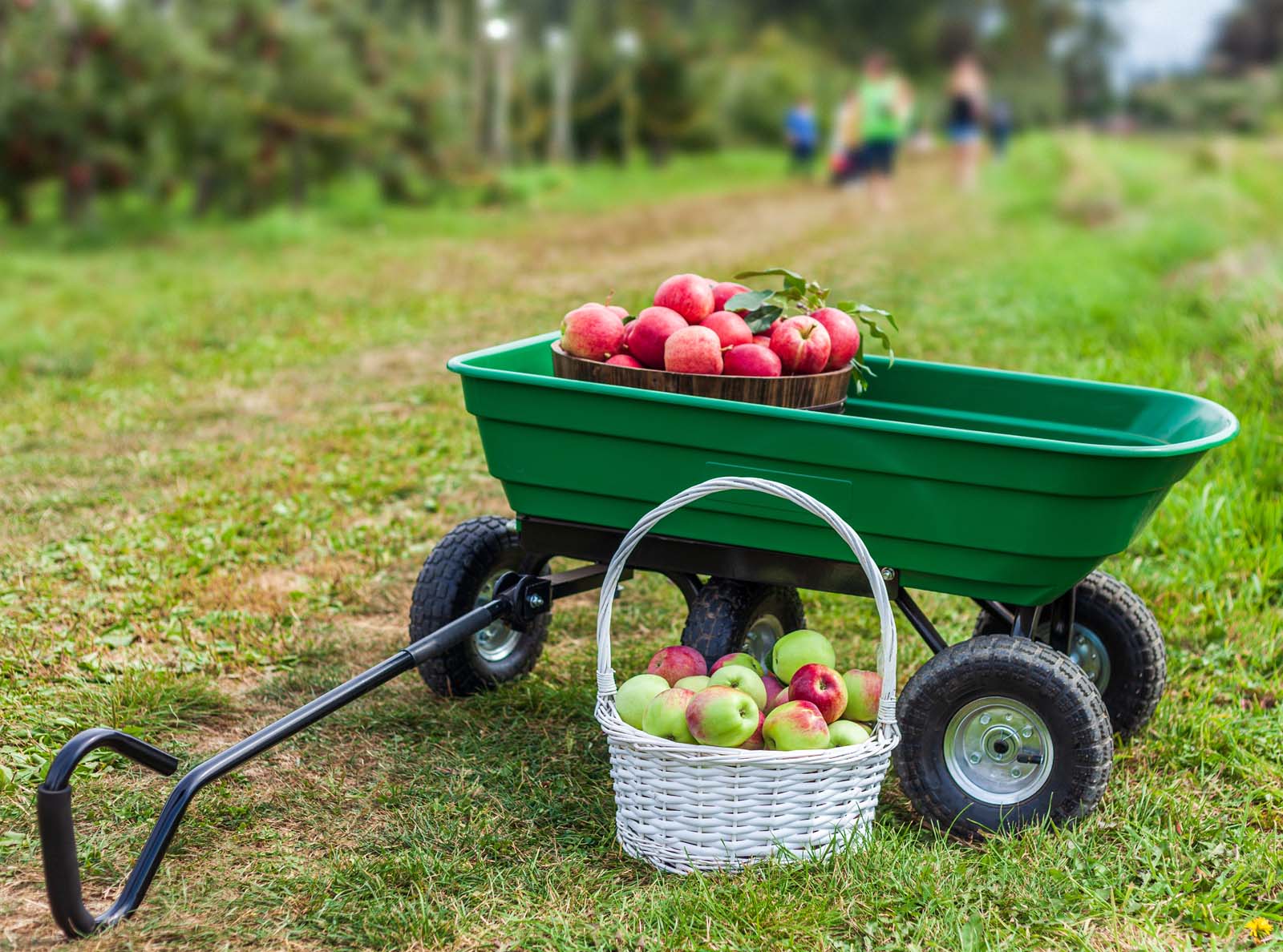 Carrello da giardino ribaltabile, capacità 50 l, portata max 200 kg, Carretto a mano Carriola