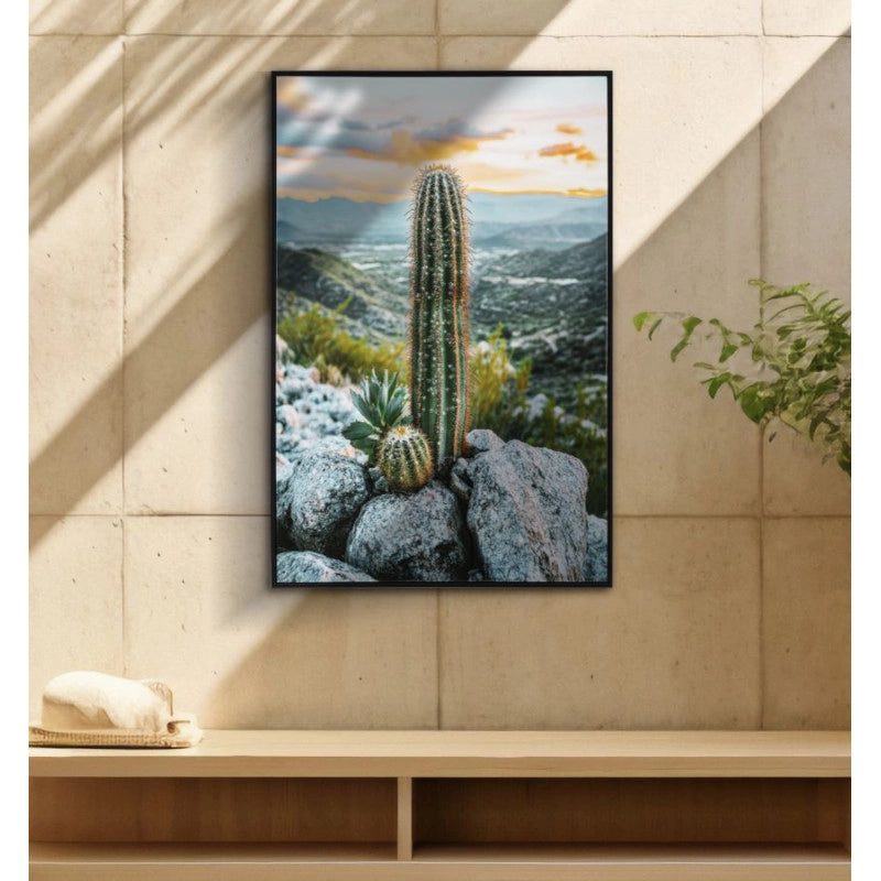 Stampa Su Tela Laccata Con Cornice Cactus -a- cm 60x4x90