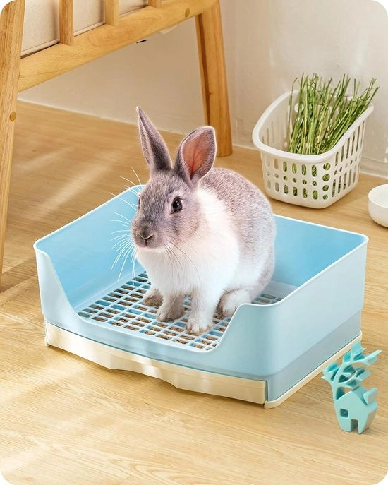 Tazza per cibo per coniglio - Grande gabbia per coniglio - Cassettiera rimovibile - Blu