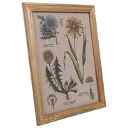 Quadro in tela stampata con cornice in legno, 33x43x1,8