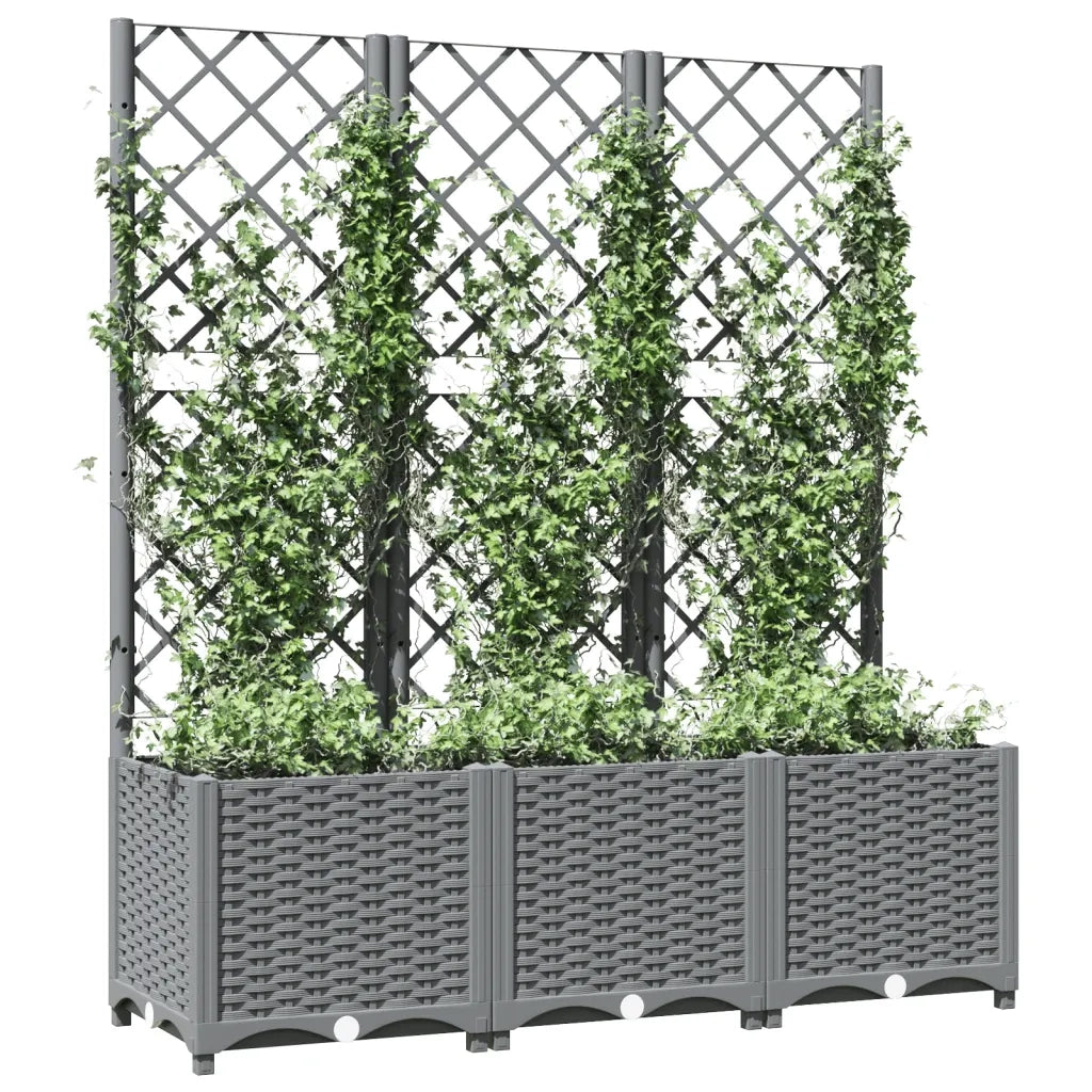 Fioriera | Cassetta per fiori | Vaso Giardino con Graticcio Grigio Chiaro 120x40x136cm PP