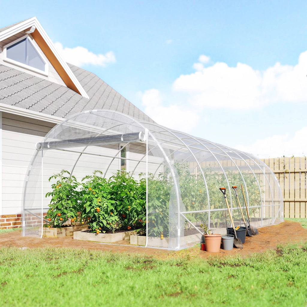 Serra Tunnel 3x6x2 m ¨C Zephmum ¨C Telaio Acciaio, Copertura PE Anti-UV Trasparente con Porte Avvolgibili