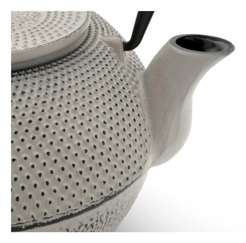 Bredemeijer 153019 Asia Jang Teiera in ghisa con filtro 1100 ml colore Grigio cemento