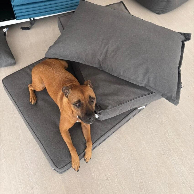 Coussin pour chien 80 x 55 cm - MADISON SÃ©rie Lounge - Gris