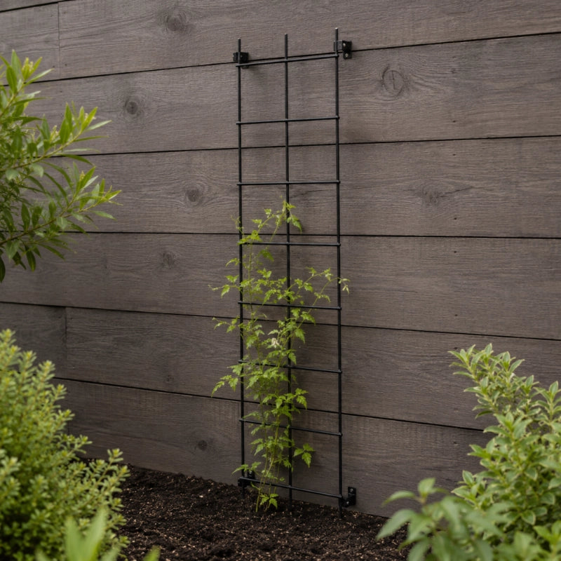 Traliccio da giardino in metallo KADAX per piante, fiori, scala per rampicanti, 35x120 cm, robusto