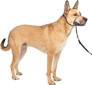 Collare per cane senza cavo trainante 1,5 m - Soluzione definitiva contro il traino - Guida il traino del vostro cane per camminate più facili - Aiuta a recuperare il controllo (taglia M) - grigio