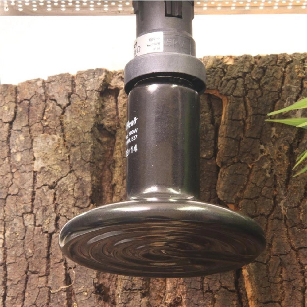 JBL Reptil Heat - lampada in ceramica per terrari Wattaggio Riscaldatori e lampade terrario: 60W