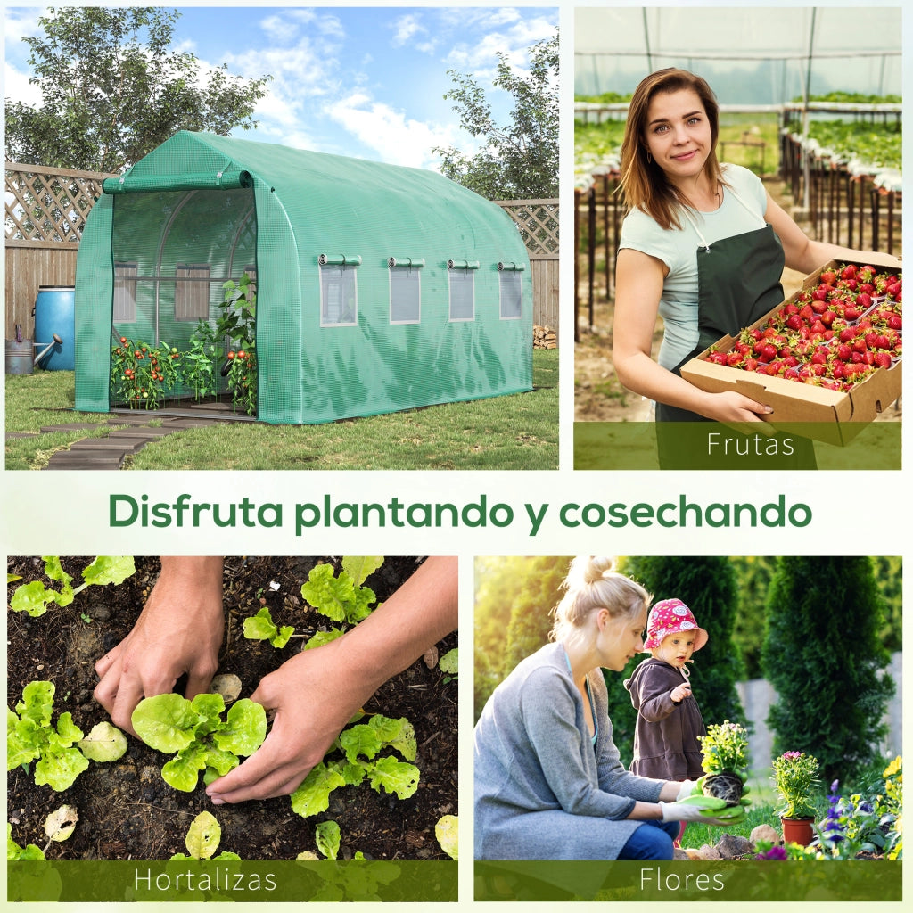 Serra Tunnel 4x2x2 m con 8 Finestre e Porta ¨C Zephmum ¨C Verde