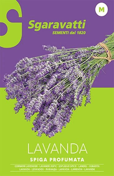 SEMI PER ORTAGGI E VEGETALI lavanda spiga- 20 pezzi  - SGARAVATTI