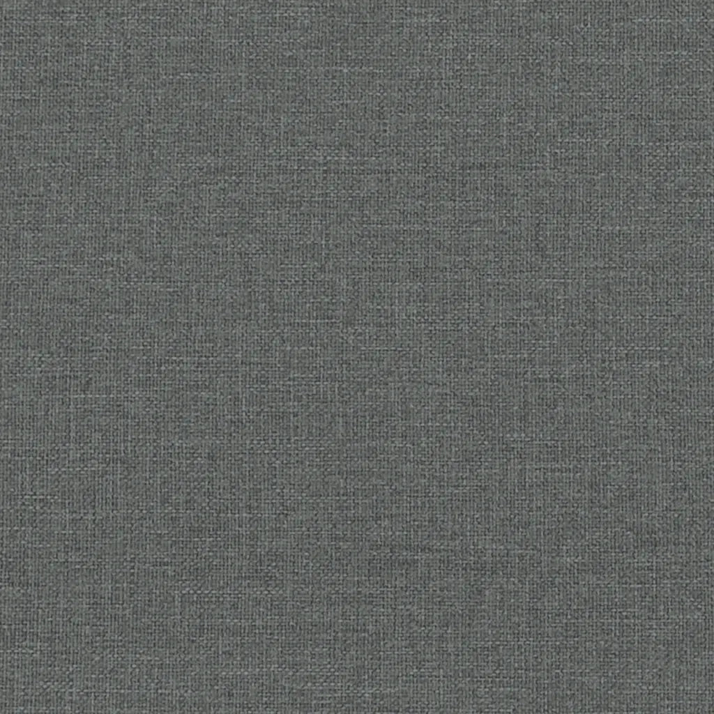 Divano | Divano da soggiorno | Sofa a 2 Posti Grigio Scuro in Tessuto
