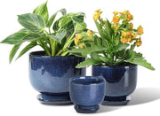 Pannelli Ceramici per Piante - Set di 3 Piani da 6.8/5.5/4.3 Pollici con Foro di Scarico e Piatto per Succulente, Orchidea, Fiori, Erbe, Cactus - Decorazione per Giardino, Casa, Ufficio, Scrivania