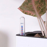 Indicatore di livello dell'acqua - 4 pezzi di misuratore di livello dell'acqua per piante, giardino e vasi di fiori - Aiuto per la giusta umidità per piante in vaso