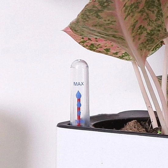 Indicatore di livello dell'acqua - 4 pezzi di misuratore di livello dell'acqua per piante, giardino e vasi di fiori - Aiuto per la giusta umidità per piante in vaso