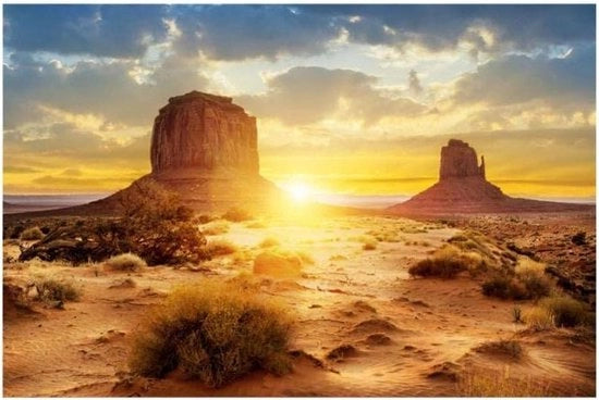 Decorazione per acquario con sfondo di deserto in PVC, dimensioni 61 x 41 cm.