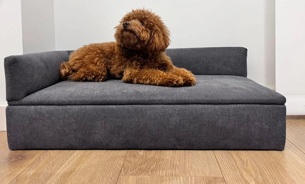 Divano letto per cani di piccola taglia 71x42x24cm in tessuto resistente e comodo schienale e base RF995