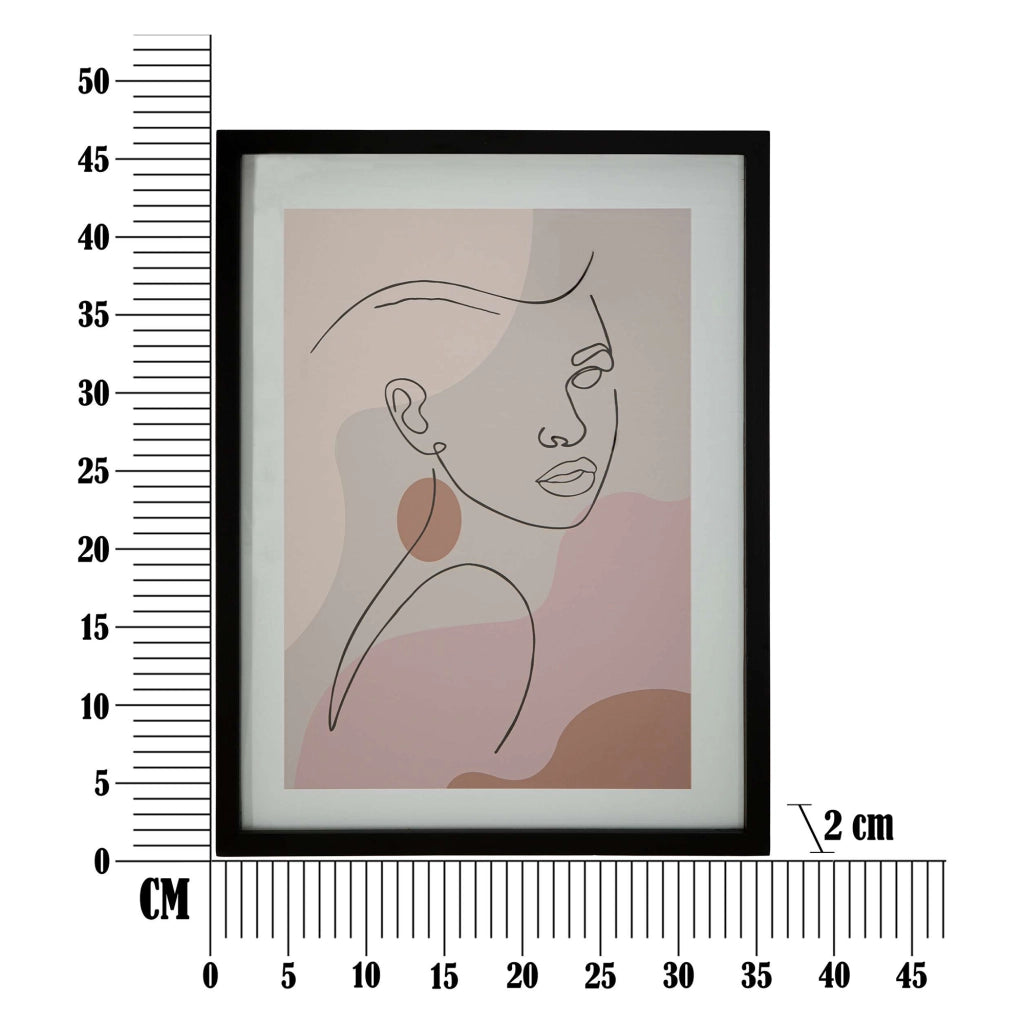 Silvo, Quadro Materiale Struttura in Vetro, 35x47h cm Rosa
