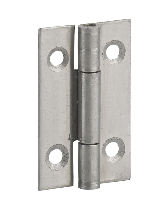 Cerniera per porte, 40x25mm, acciaio inossidabile 309 - THIRARD