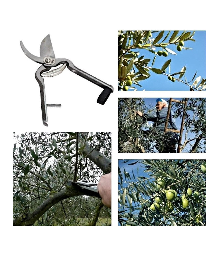 Cesoia Forbici Potatura Giardino Giardinaggio Professionale Lama 200 Mm         