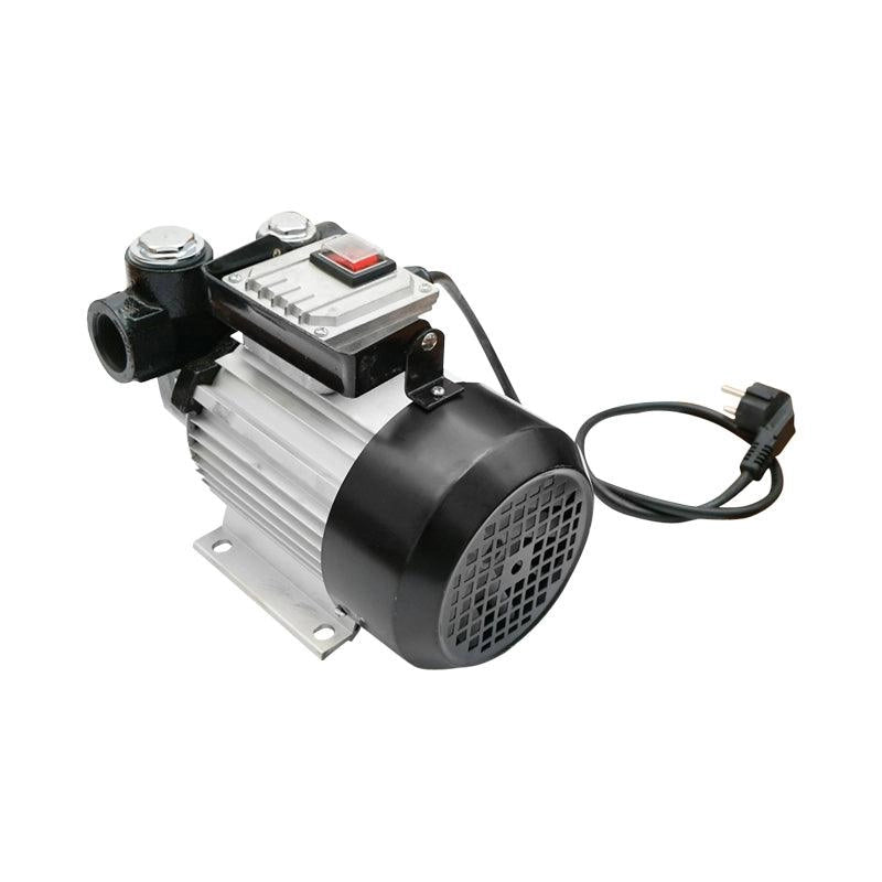 Pompa Carburante 220V 550W Pompa di Trasferimento del Combustibile Diesel 60l/min Breckner Germany